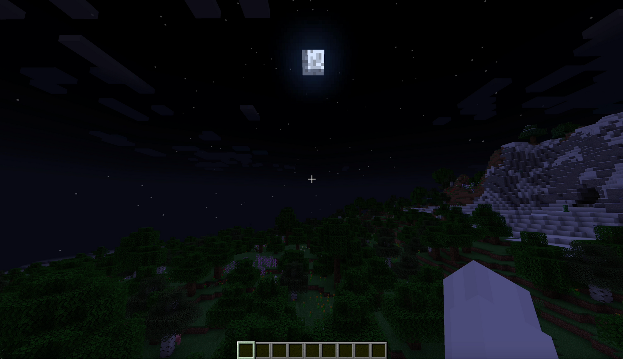 Nighttime in a Minecraft world
